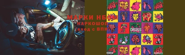 прущие грибы Алзамай
