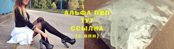прущие грибы Алзамай