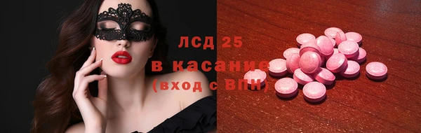 прущие грибы Алзамай