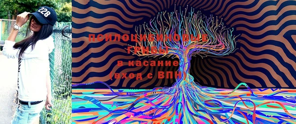 крисы Алексин
