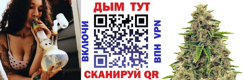 дарнет шоп  Богучар  Каннабис план 